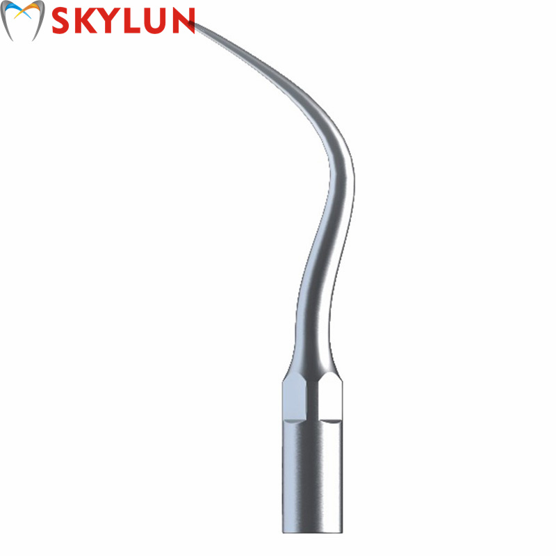 5PCS P4 Dental Ultrasonic Scal - đánh giá và giá Teeth Whitening Usa